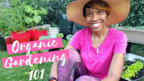 Organic Gardening 101 | How to Start An Organic Garden | ...