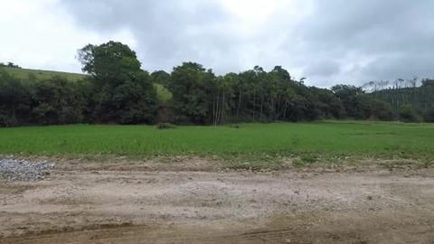 Green Paddy Fields Along The Road | Sakleshpur
