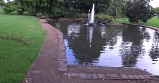 Lovely day for a Husky walk around the lake near mum's