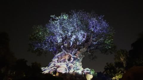 Animal Kingdom - Tree of Life Awakening - Christmas Overl...