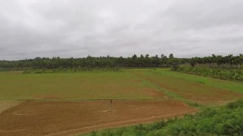 Tree Plantations Along The Train Route | Karnataka