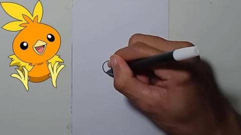 DRAW POKEMON TORCHIC #SHORTS