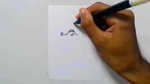 Drawing graffiti rooster head mascot 3 shorts