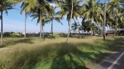 This Road Leads To Delta Point | Kodi Bengere