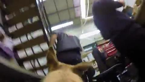 ISLE OF DOGS - Featurette - "Ode To The Dogs On Set"