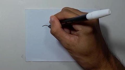 Drawing graffiti great white sharkk