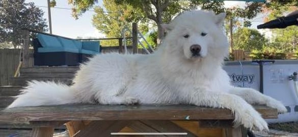 She’s High Maintenance and Worth It