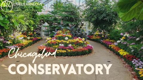 Fall Flower Arrangement In A Chicagoland Conservatory | N...