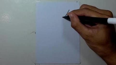 Drawing Pokemon CAMBUSKEN