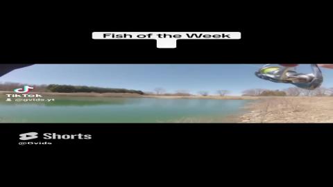 #fishing #gvids #pike #pikefishing (1)