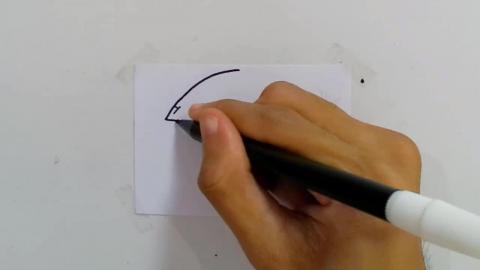 Drawing doodle V9 shorts