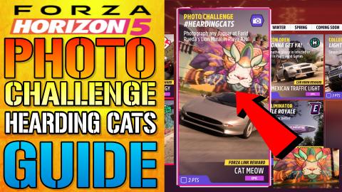 Forza Horizon 5: Photo Challenge "Herding Cats" Guide! Ru...