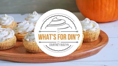 NO-BAKE Mini Pumpkin Cheesecake Bites