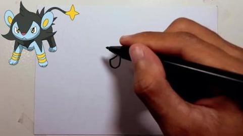 Drawing Pokemon LUXIO 