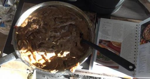 Yummy beef stroganoff. Made under supervision of husky gi...