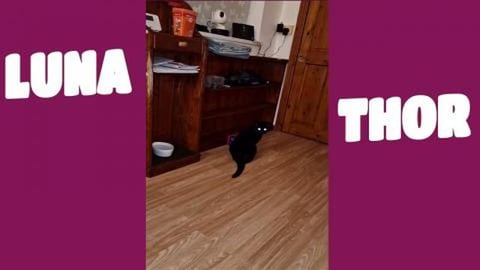 I love cardboard boxes