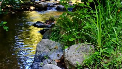 Meditation Music Video Nature At Its Best Relaxation Vide...