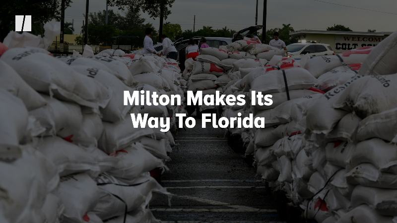 Troopers Rescue Dog Tied To Fence Ahead Of Hurricane Milton | HuffPost ...