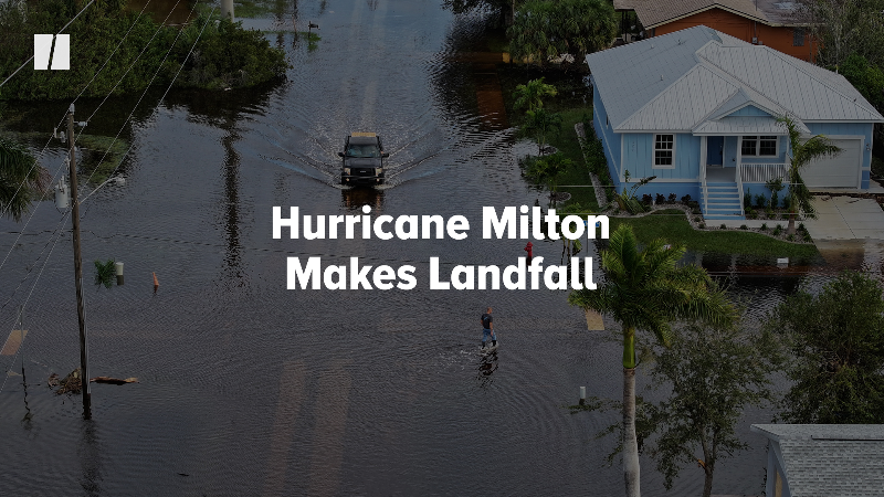 Man Accused Of Tying Dog Up Amid Hurricane Faces Felony Charge ...