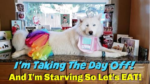 Breakfast With The WaterWolves | Surprise Breakfast