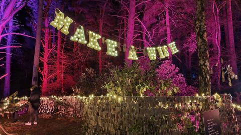 BRILLIANT CHRISTMAS LIGHTS EXPERIENCE. COME WITH ME