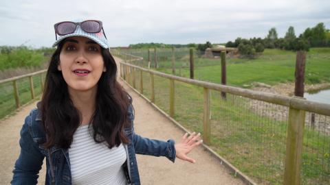 Staying at a Wildlife Hotel in Yorkshire, Full Tour & Hon...