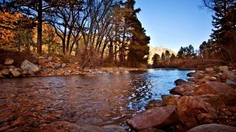 Relaxing 4K Forest Stream  Calming Water Sounds & Woodlan...