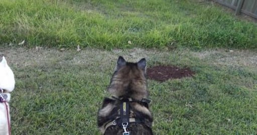 We are in a housing rental crisis yet houses left empty