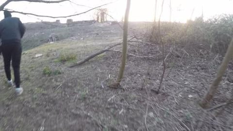 Old forgotten WW2 bombsite