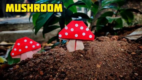 Origami Mushroom | Origami tutorial | Paper craft