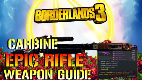 Borderlands 3: AMAZING CARBINE! ANOINTED EPIC RIFLE! (Thi...
