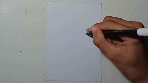 Drawing tatto v17 2024 shorts