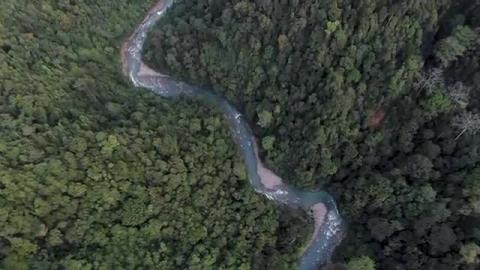 BUKIT LAWANG - Finding Wild Orangutans in Sumatra