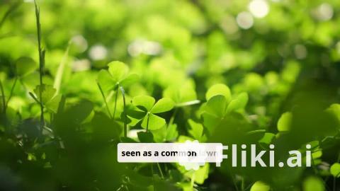White Clover Edible and Medicinal Uses: Kitchen Gardening...