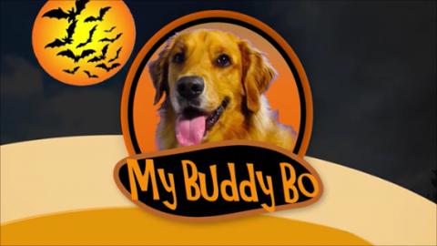 Funny Talking  Golden Retriever Gets Firstt Pumpkin!