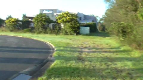 Malamute & Husky enjoying a sunny walk