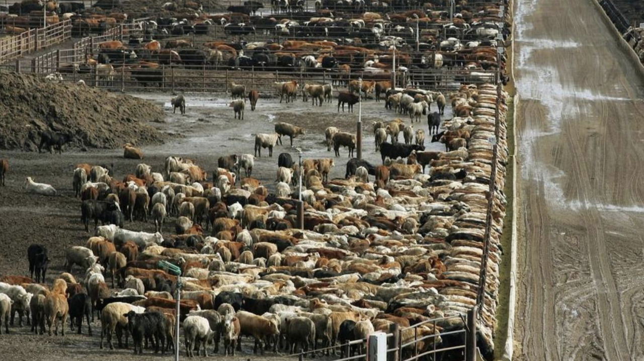 Harris Ranch: Details still lacking in beef company's sale | The Fresno Bee