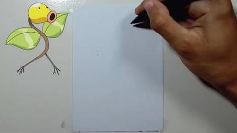 Drawing Pokemon BELLSPROUT 