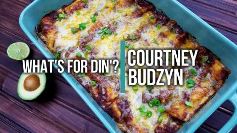 Chicken Enchiladas Recipe