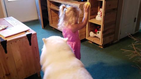 Cute Toddler Play Fetch With Snow Dogs