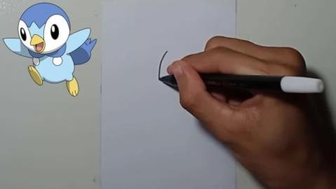 Drawing Pokemon piplup