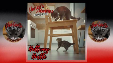 Hallway Hustle Music Lyrics