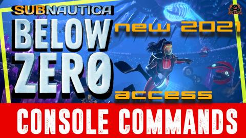 Access the Subnautica Below Zero Console New Method