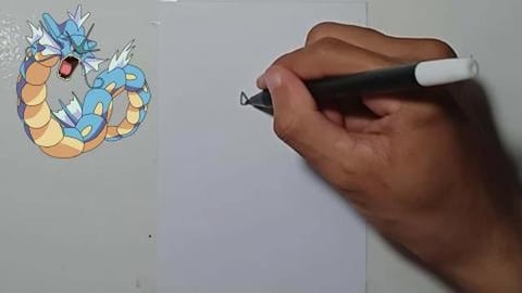 Drawing Pokemon gyarados