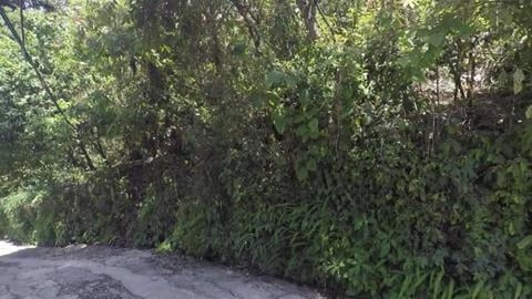 Finally Found The Main Road | Darjeeling | West Bengal