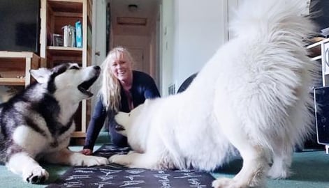 Dog Yoga, Howling & Jumping Rope! My Malamute & Husky Are...