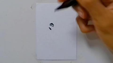 Drawing tatto v84 2024 shorts