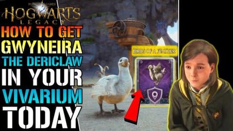 Hogwarts Legacy: How To Get "Gwyneira The Dericawl" In Yo...