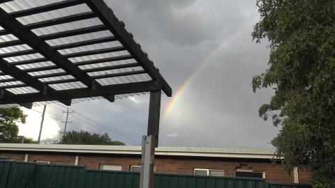 Husky & Malamute make my life, and a rainbow