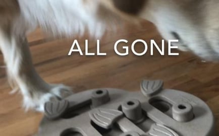 Lola’s Treat Puzzle 